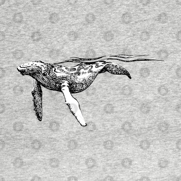 Humpback Whale Pen and Ink by tsd-fashion